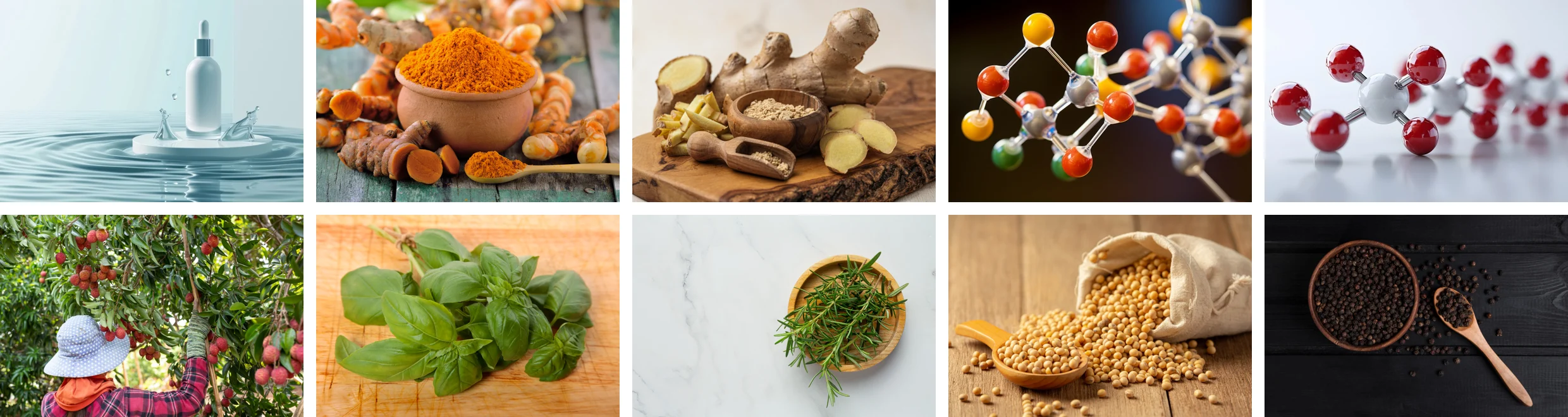 Joint N-11 ingredients