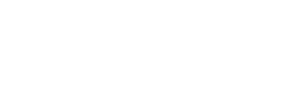 Joint N-11 logo