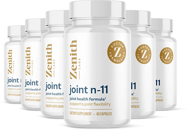 Joint N-11 official website
